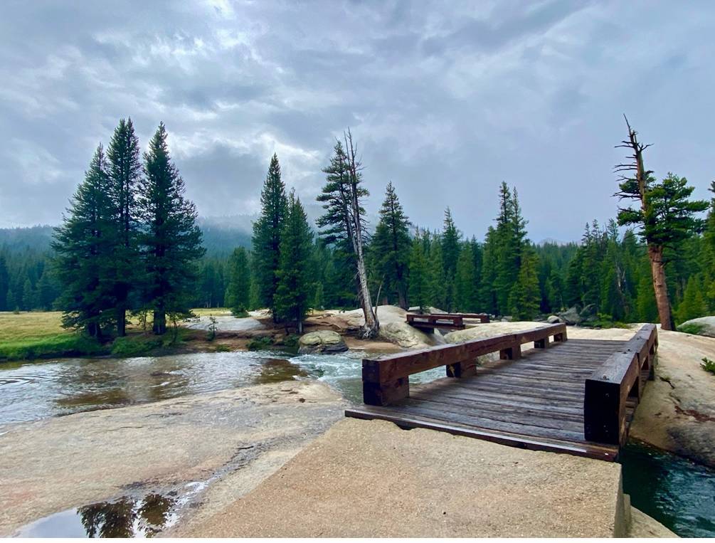 Towards the beginning of Lyell Creek