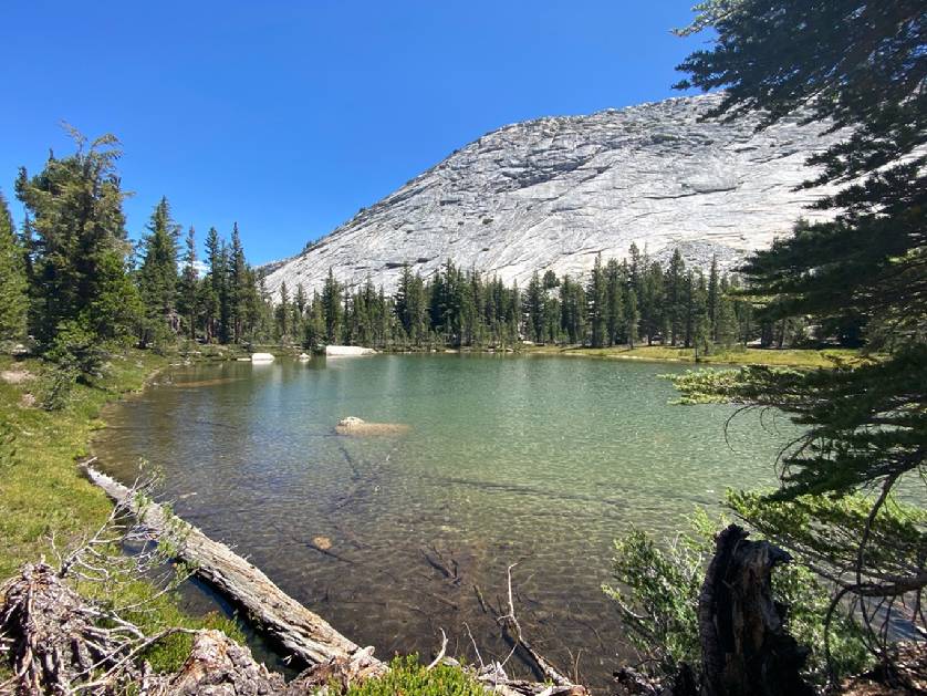 Unnamed Lake at the base of Cathedral Peak